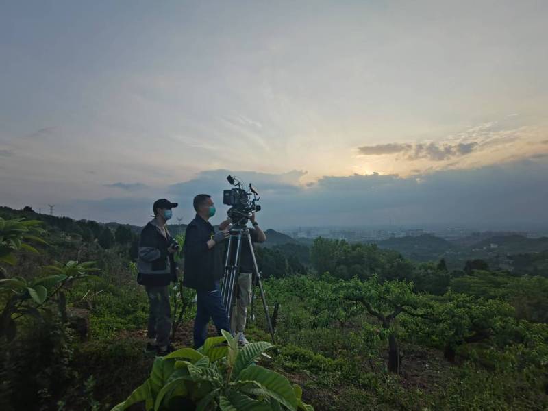 创意破圈！武平县电商产品宣传视频用故事化叙事引爆流量