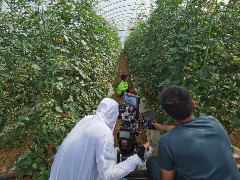 武平县产品宣传视频拍摄公司进阶指南，助力品牌抢占传播高地